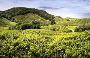 colline