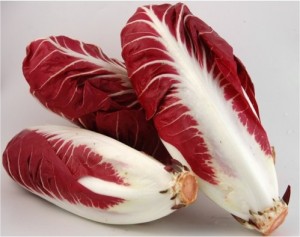 Radicchio_Treviso_precoce