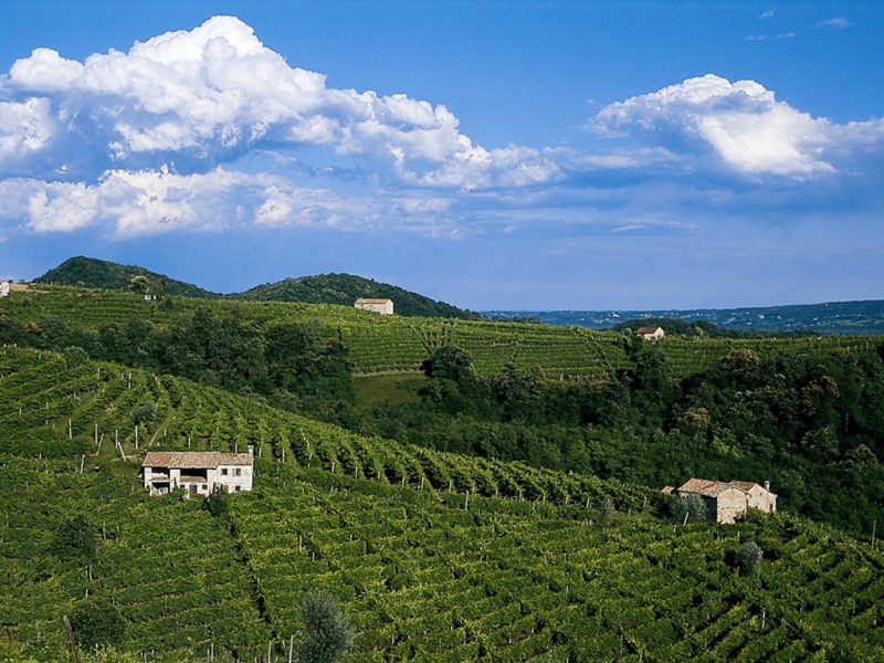 Paesaggio-Altamarca